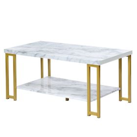 2-Tier Rectangular Modern Coffee Table with Gold Print Metal Frame