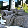 Blancho Bedding - [Reminiscent Mood] Luxury 7PC Bed In A Bag Combo 300GSM (Queen Size)