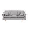 Velvet Sofa Couch with 2 Pillows Modern 3 Seater Sofa With Wood Legs