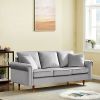 Velvet Sofa Couch with 2 Pillows Modern 3 Seater Sofa With Wood Legs